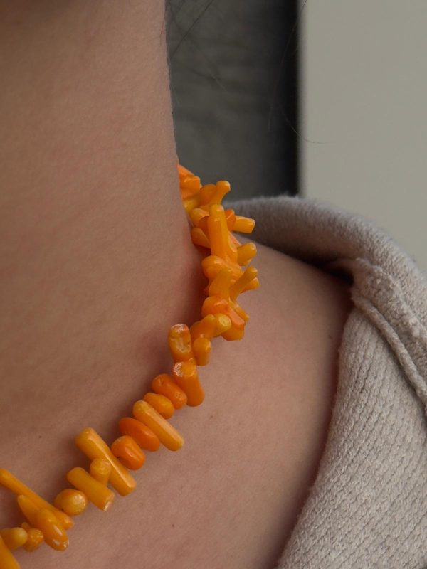 Amber Coral - Turuncu Mercan - Görsel 2
