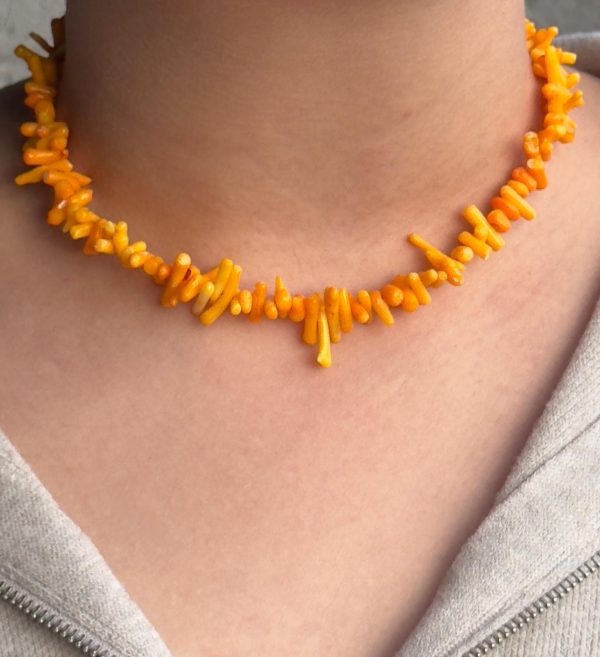 Amber Coral - Turuncu Mercan